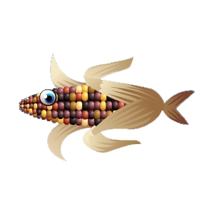 Calico Corn Fish